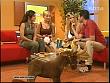 ce_weckup050605_091.jpg