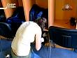 eb_afshowtime_070511_16.jpg